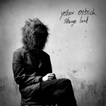 yellowostrichstrangeland